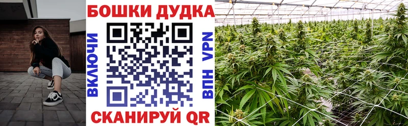 Бошки марихуана гибрид Соликамск